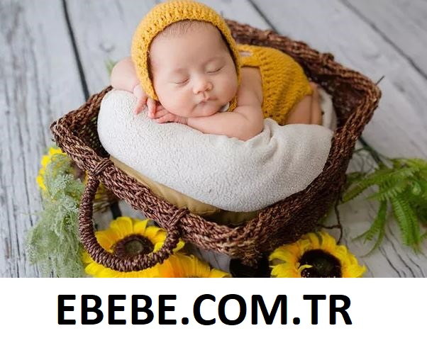 ebebe.net e-ticaret projesi & web sitesi için yatırımcı iş ortağı arıyoruz.